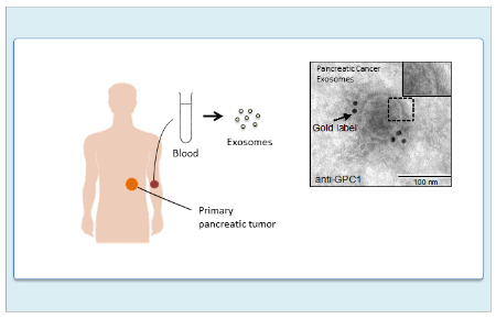 Nature exosomes