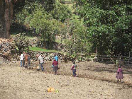 Excavaciones Perú 3 G