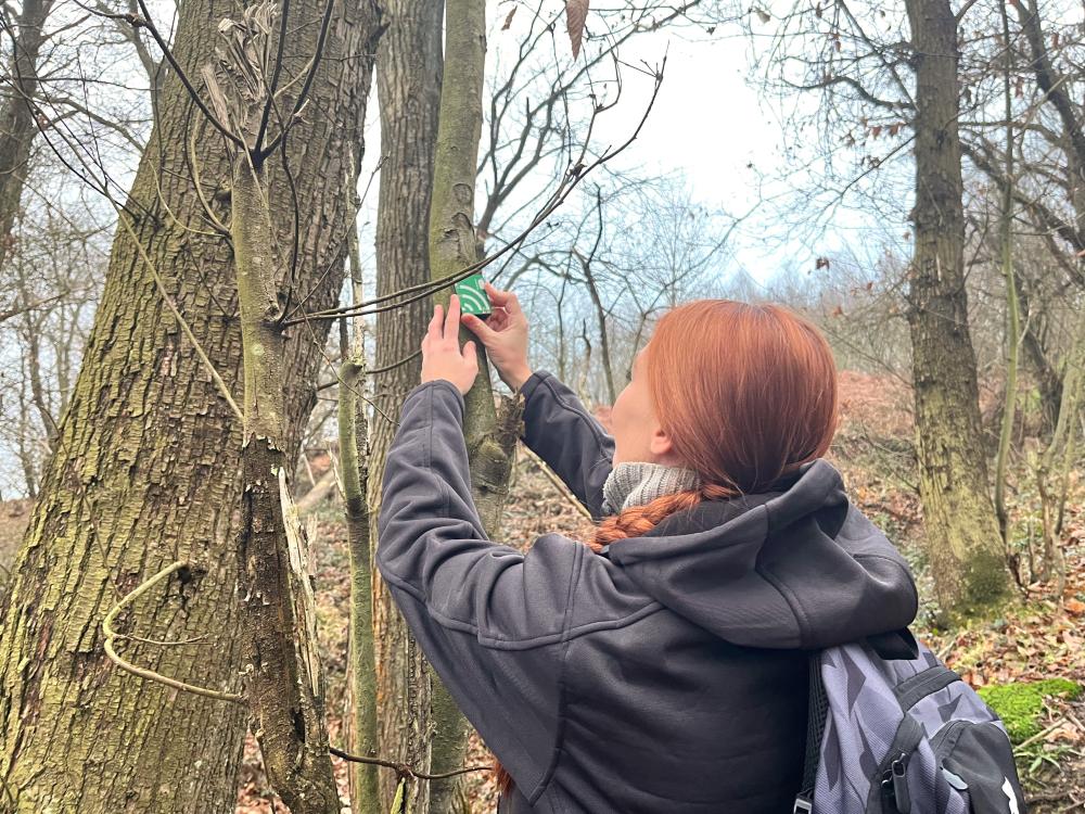 Imagen Una investigación de la Universidad de Oviedo y el CSIC evidencia interacciones entre especies de aves a través de sus cantos en primavera