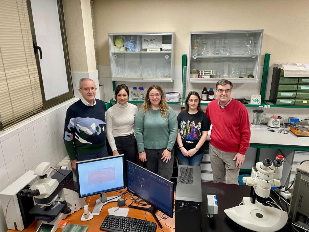 Imagen Una investigación de la Universidad de Oviedo revela una diferente respuesta entre sexos al aplicar tratamientos transcraneales con luz roja