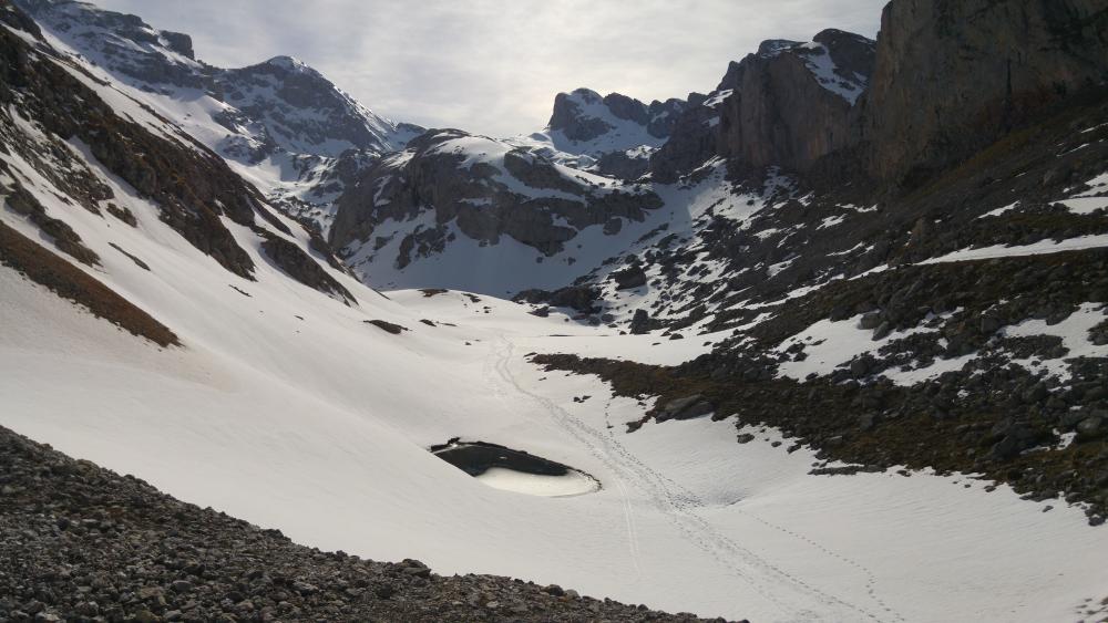 Imagen Una investigación de la Universidad de Oviedo y el CSIC revela la disminución progresiva de los daños causados por nevadas en el Macizo Asturiano